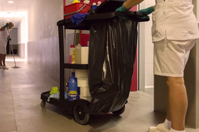 Cleaning Cart